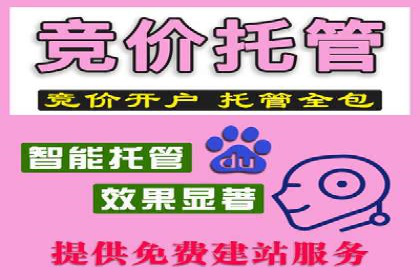 推广竞价策略优化：借鉴成功案例实现高效转化