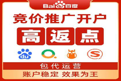 百度SEM广告策略在电商行业的成功案例